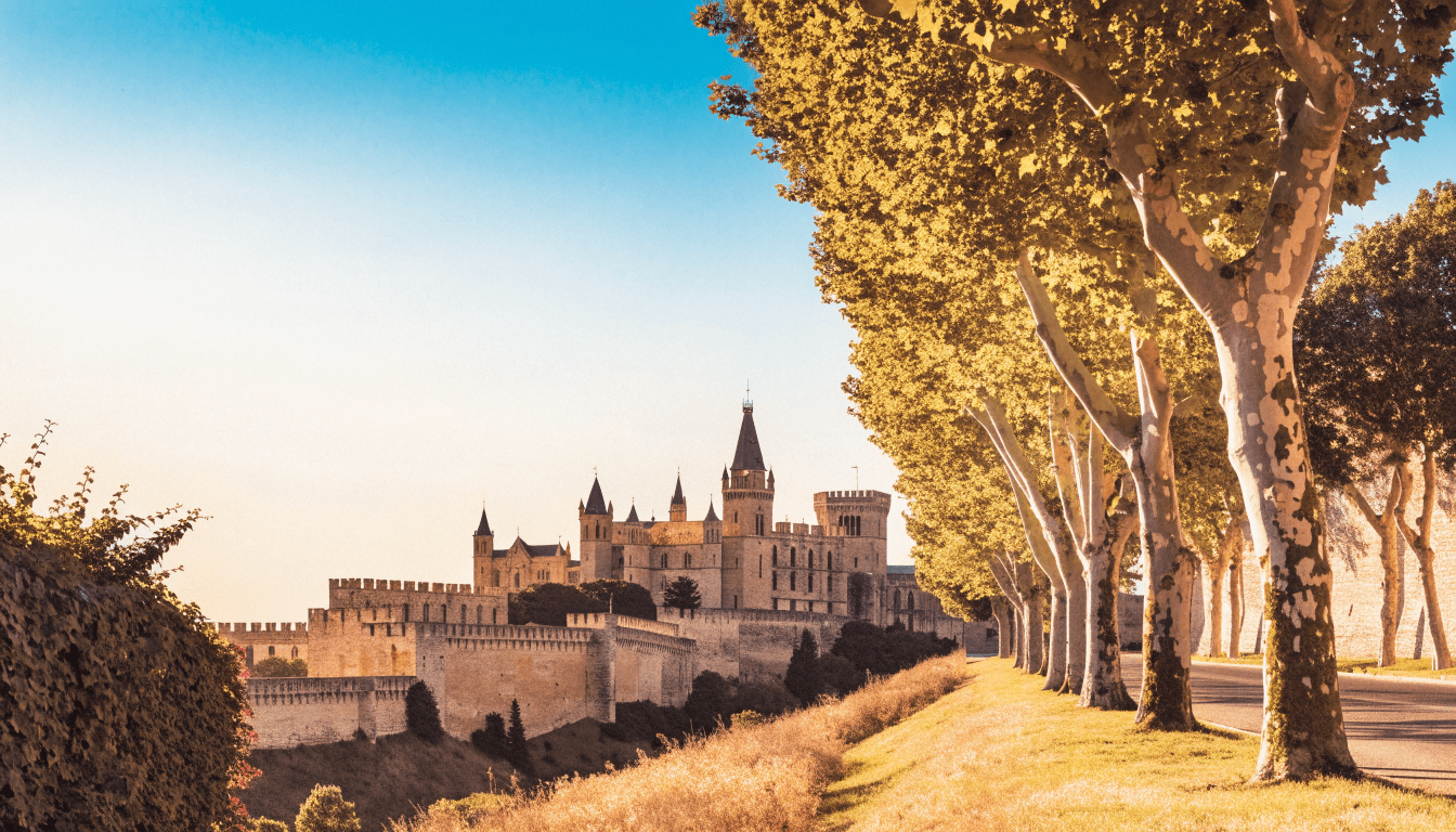 Vue d'Avignon, ville où intervient Nettoyage Diogène Avignon